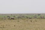 kenya09_image87.jpg